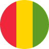 Guinea flag
