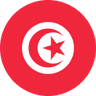 Tunisia flag